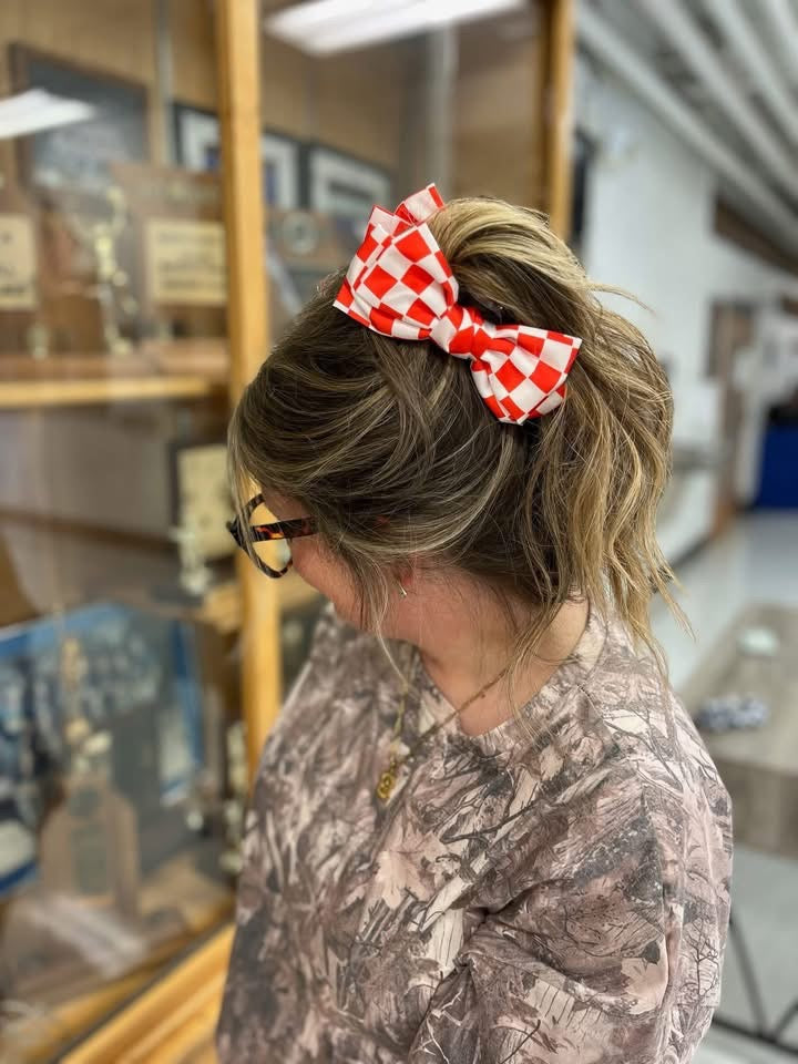 Check Bow Claw Clip