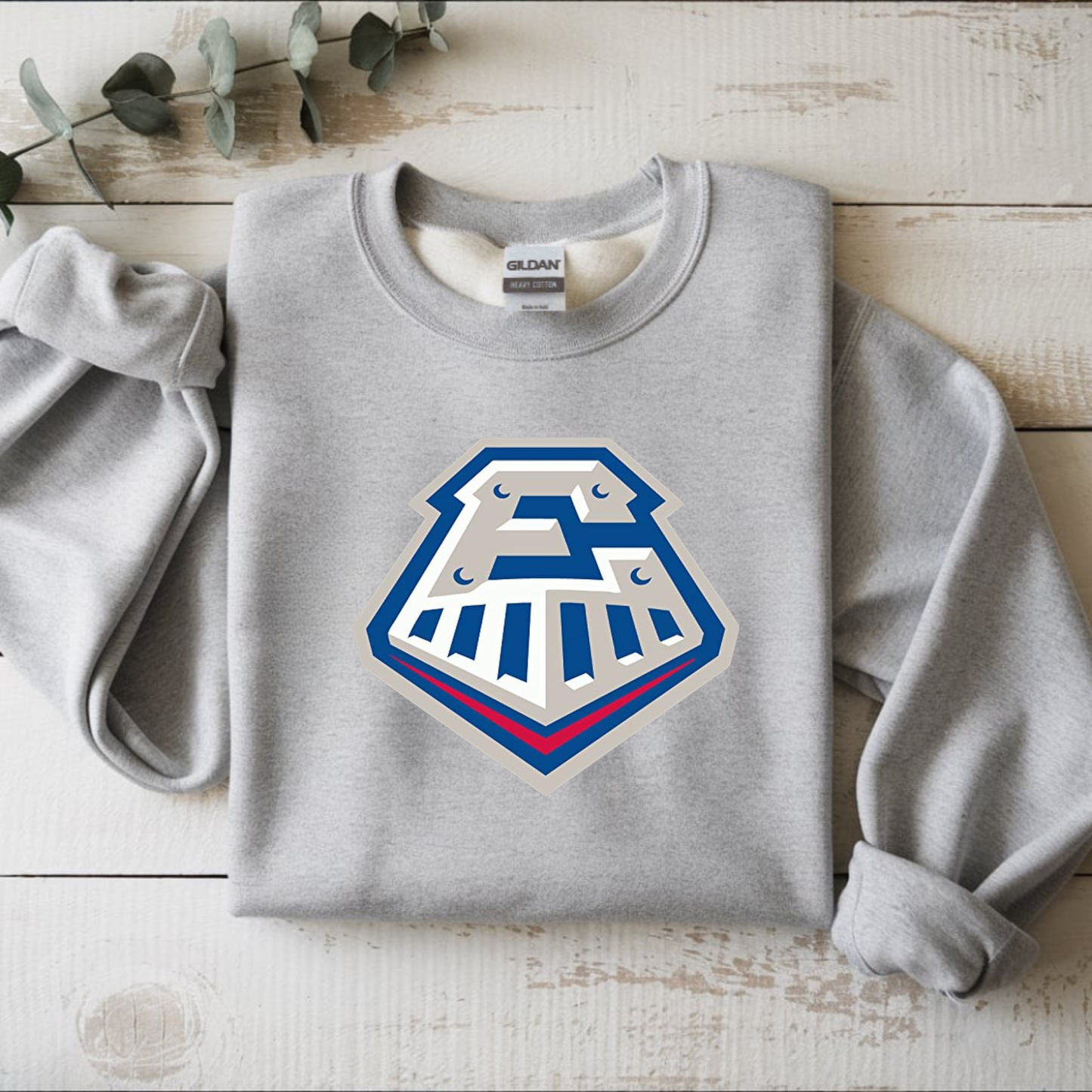 Express Baseball Official Team Graphic