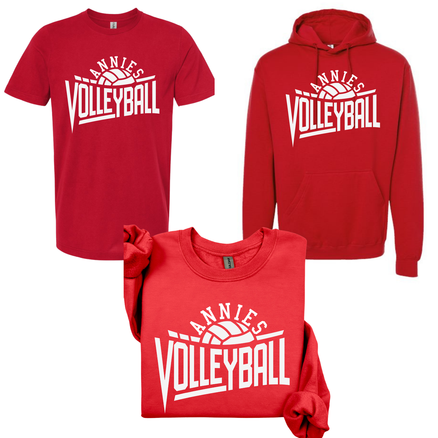 Annies Volleyball: The Court Design
