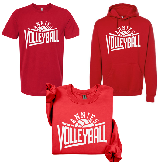 Annies Volleyball: The Court Design